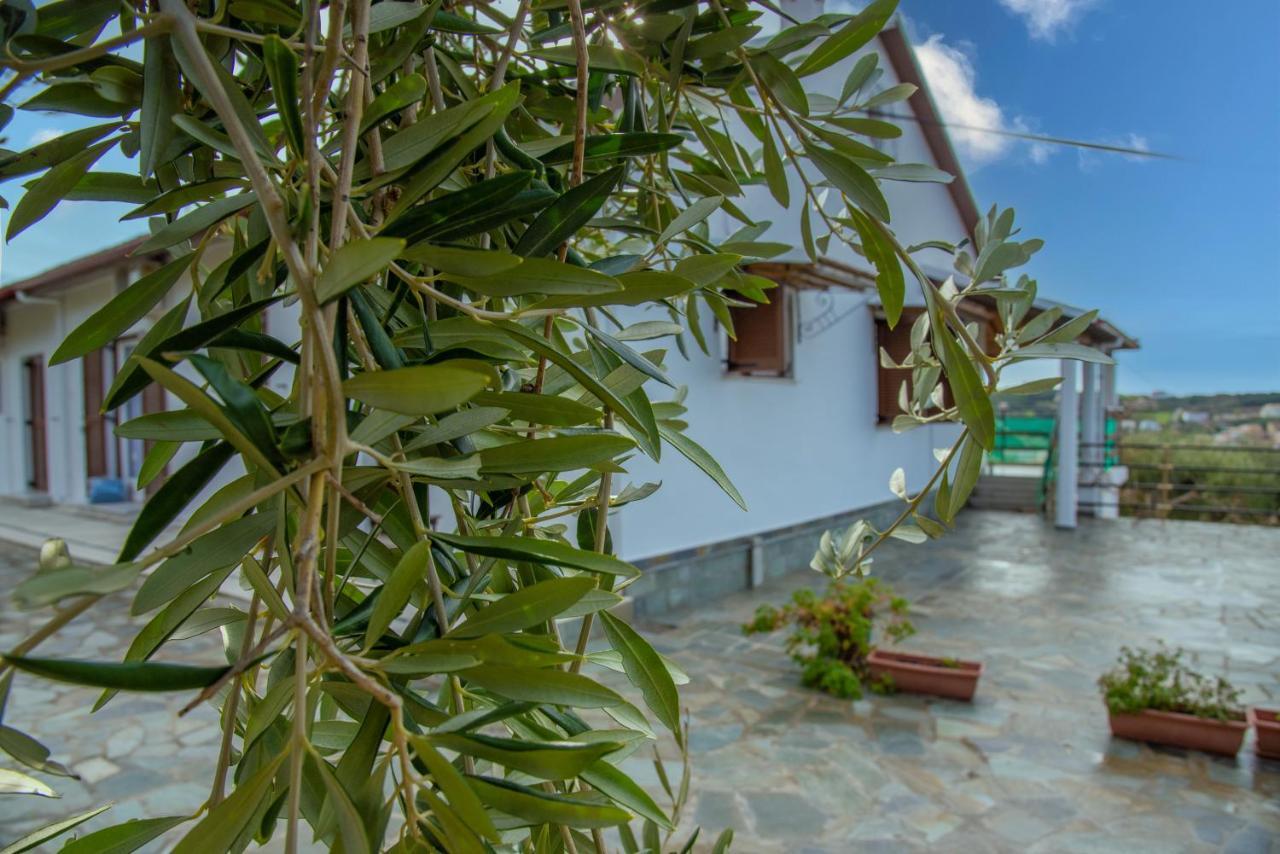 Eleonas Holiday Home Apartment Agios Stefanos Avliotes  Esterno foto